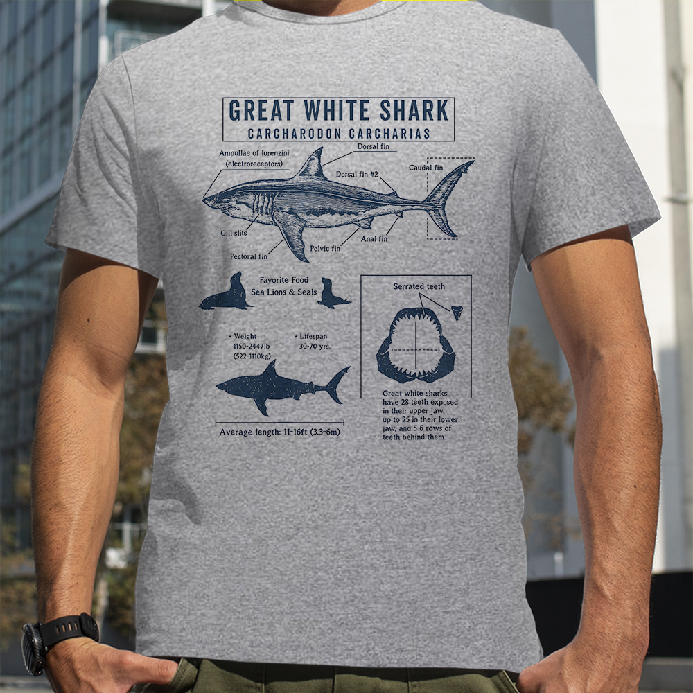 Great White Shark Anatomy Shar - đánh giá và giá Street Fashion Loverboy