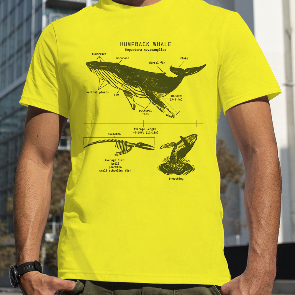 Humpback Whale Anatomy Shark L - đánh giá và giá Street Fashion Loverboy
