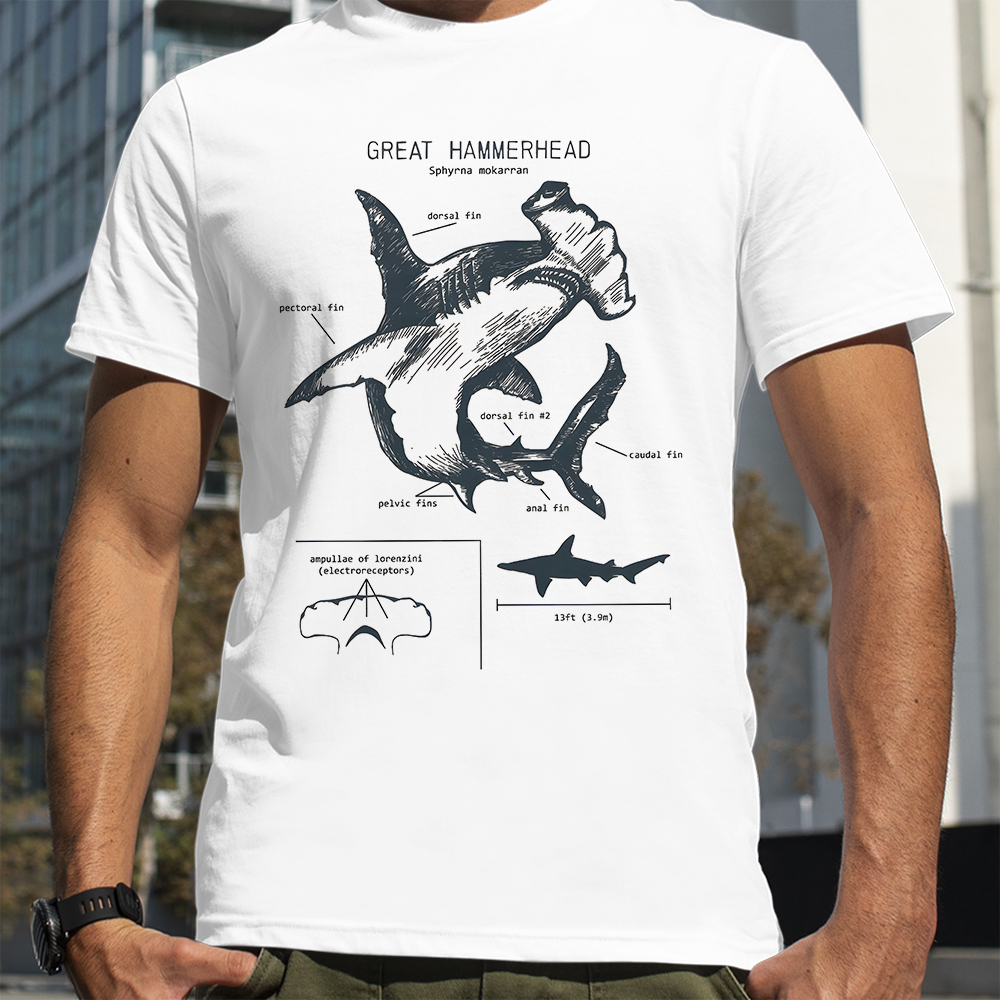 Hammerhead Shark Anatomy Shark - đánh giá và giá Street Fashion Loverboy